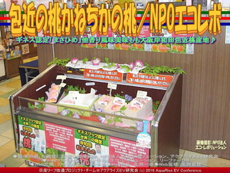 かねちかの桃／エコレボ産リーフ改造01