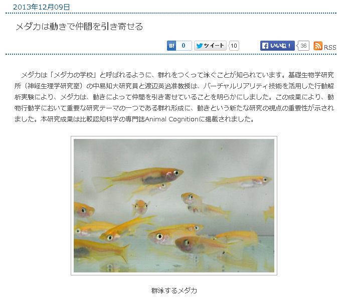 メダカ メダカに高度な認知能力があることが判明 アクアリウム情報 アンテナサイト アクアリウムの輪 メダカ メダカに高度な認知能力があることが判明 アクアリウム情報 アンテナサイト アクアリウムの輪