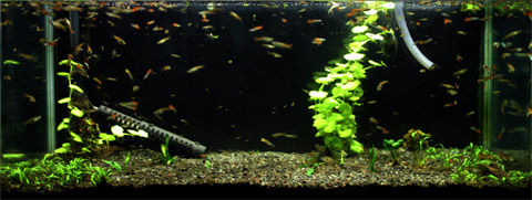 suikei20120304