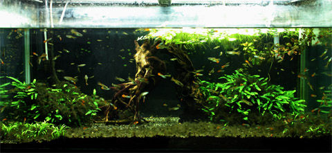 suikei20120218