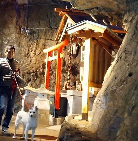 takayama17