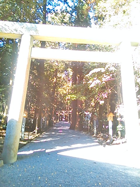 8084413c.jpg
