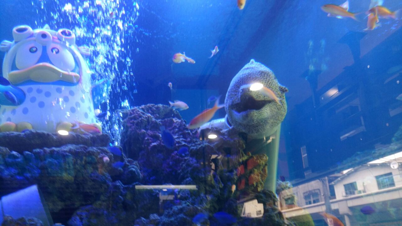 ドンキホーテ ウツボ