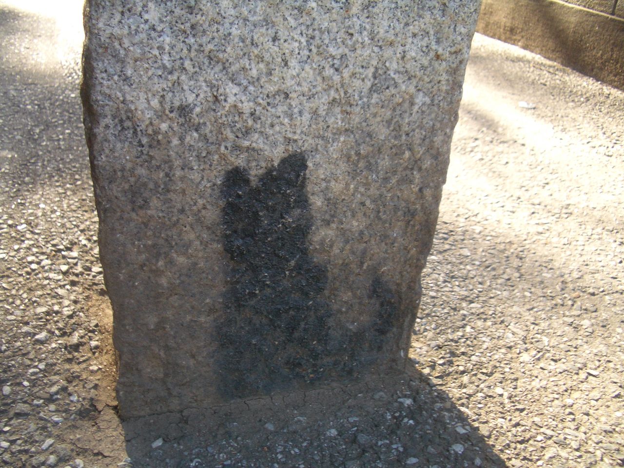 雑司が谷 鬼子母神 初詣 池袋謎の 黒猫 かまくら Kamakura 鎌倉 taka2 鎌倉歩いて 935 9km 鎌倉の季節の花を中心に鎌倉の旬を紹介ています 雑司が谷 鬼子母神 初詣 池袋謎の 黒猫 かまくら Kamakura 鎌倉 taka2 鎌倉歩いて 935 9km 鎌倉の季節の花を中心に鎌倉の旬を紹介ています