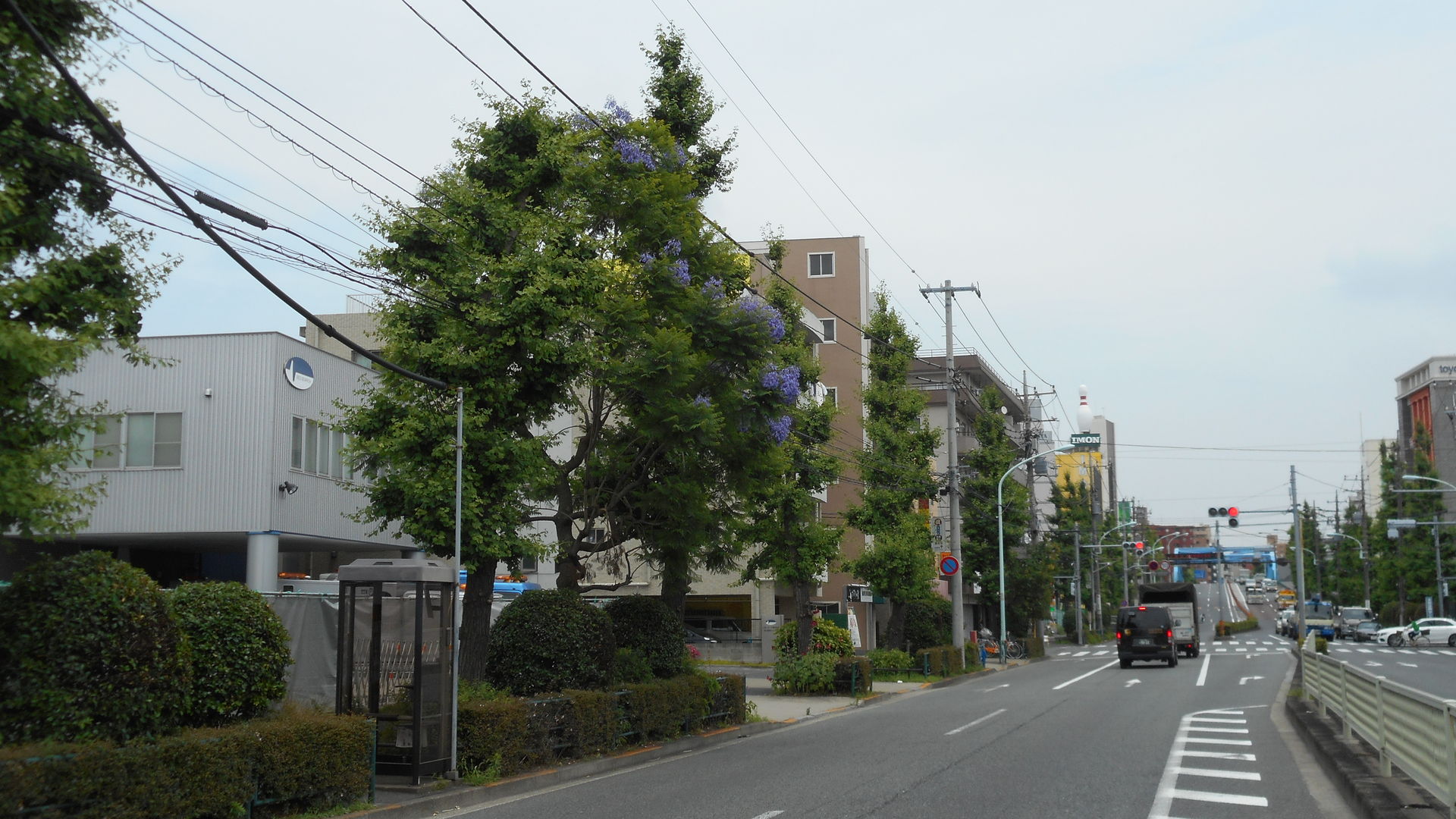 ジャカランダ 蒲田 大田区 15 6 11 かまくら Kamakura 鎌倉 ｔａka２ 鎌倉歩いて 935 9km 鎌倉の季節の花を中心に鎌倉の旬を紹介ています
