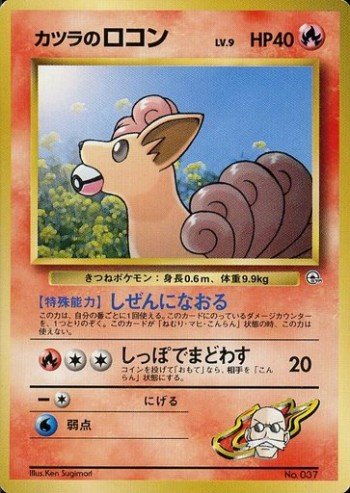 当店限定販売 ポケモン Eシリーズ まとめ売り イブキのカイリュー カツラのバクフーンなど ポケモンカードゲーム Www Cfsloco Org