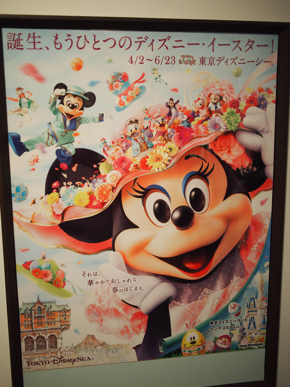 TDS15周年記念展示in金沢② : Suitcase and Disney