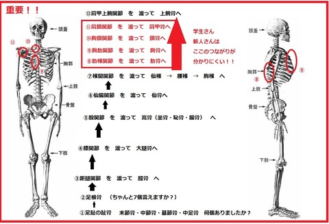 足部からの連結