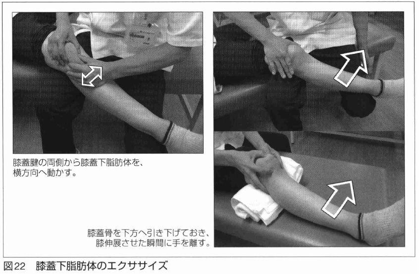 膝関節伸展制限に対する膝蓋下脂肪体のエクササイズ 理学療法士 pt だって 人間だもん 膝関節伸展制限に対する膝蓋下脂肪体のエクササイズ 理学療法士 pt だって 人間だもん