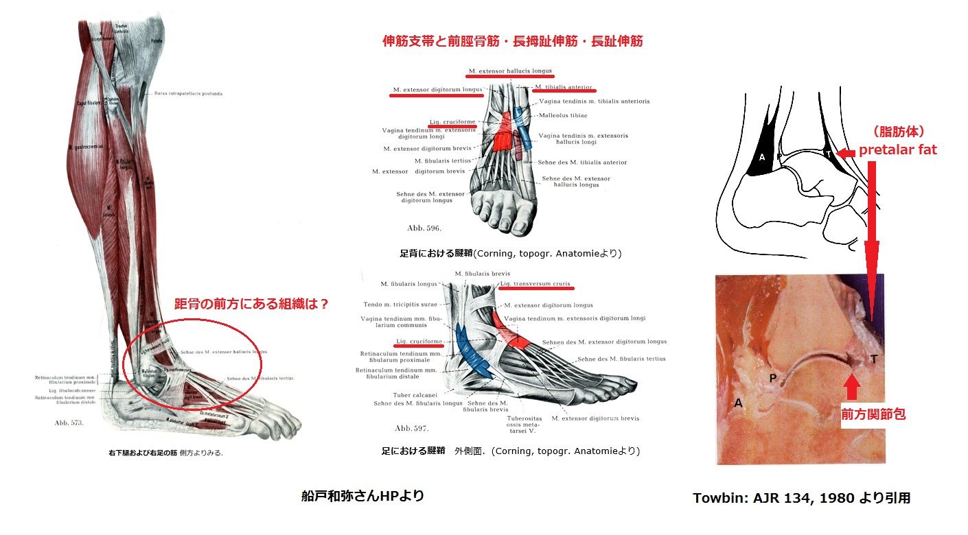 理学療法士 ｐｔ だって 人間だもん 理学療法 概論