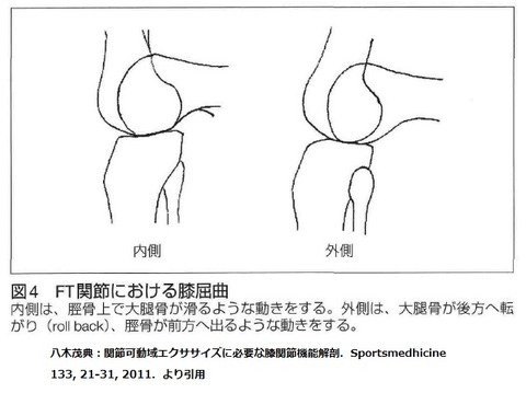 膝の動き