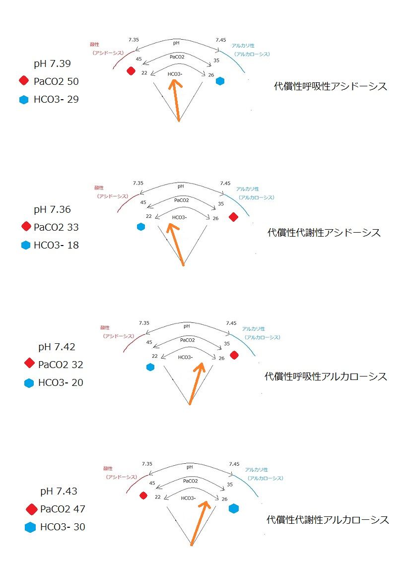 理学療法士 pt だって 人間だもん 理学療法 呼吸 循環