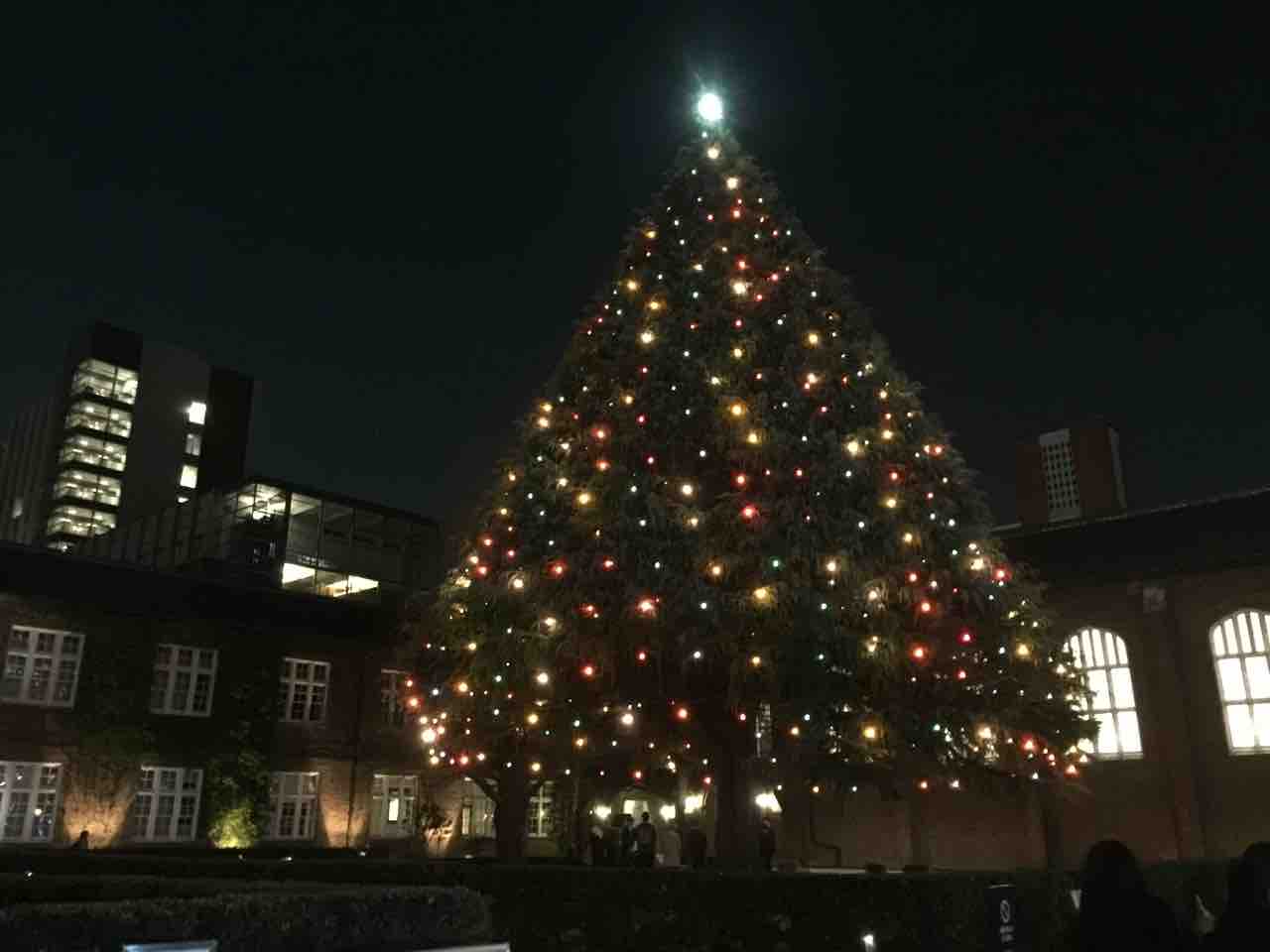 クリスマスツリーを心静かに鑑賞 放蕩記