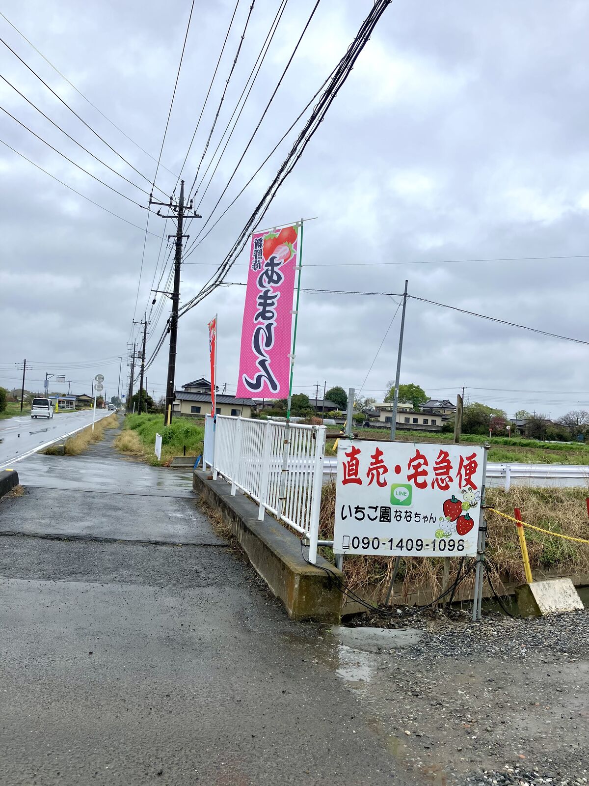 いちご園ななちゃん（比企郡吉見町） : 三毛猫ランチ2
