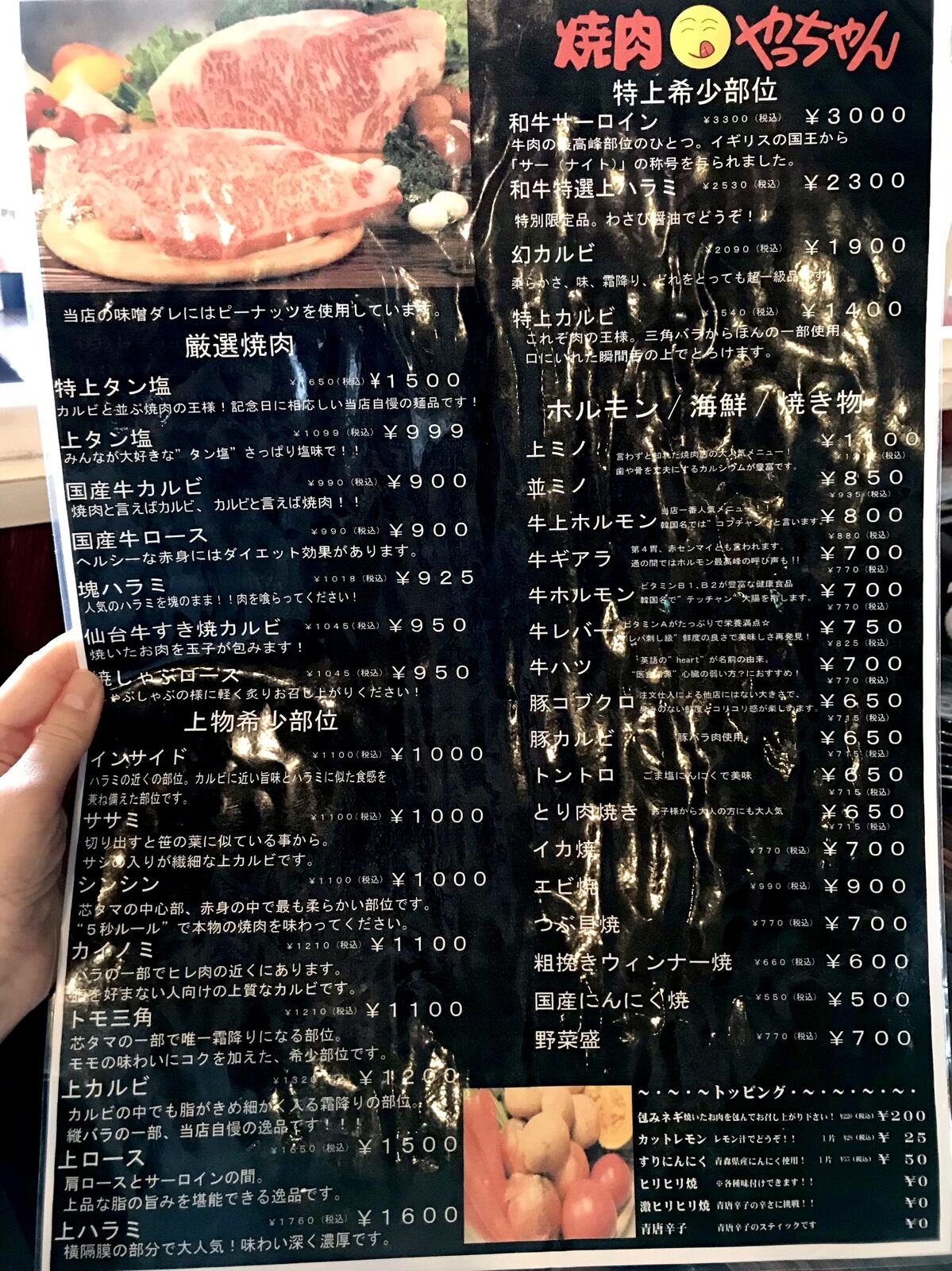 焼肉やっちゃん（さいたま市岩槻区） : 三毛猫ランチ2