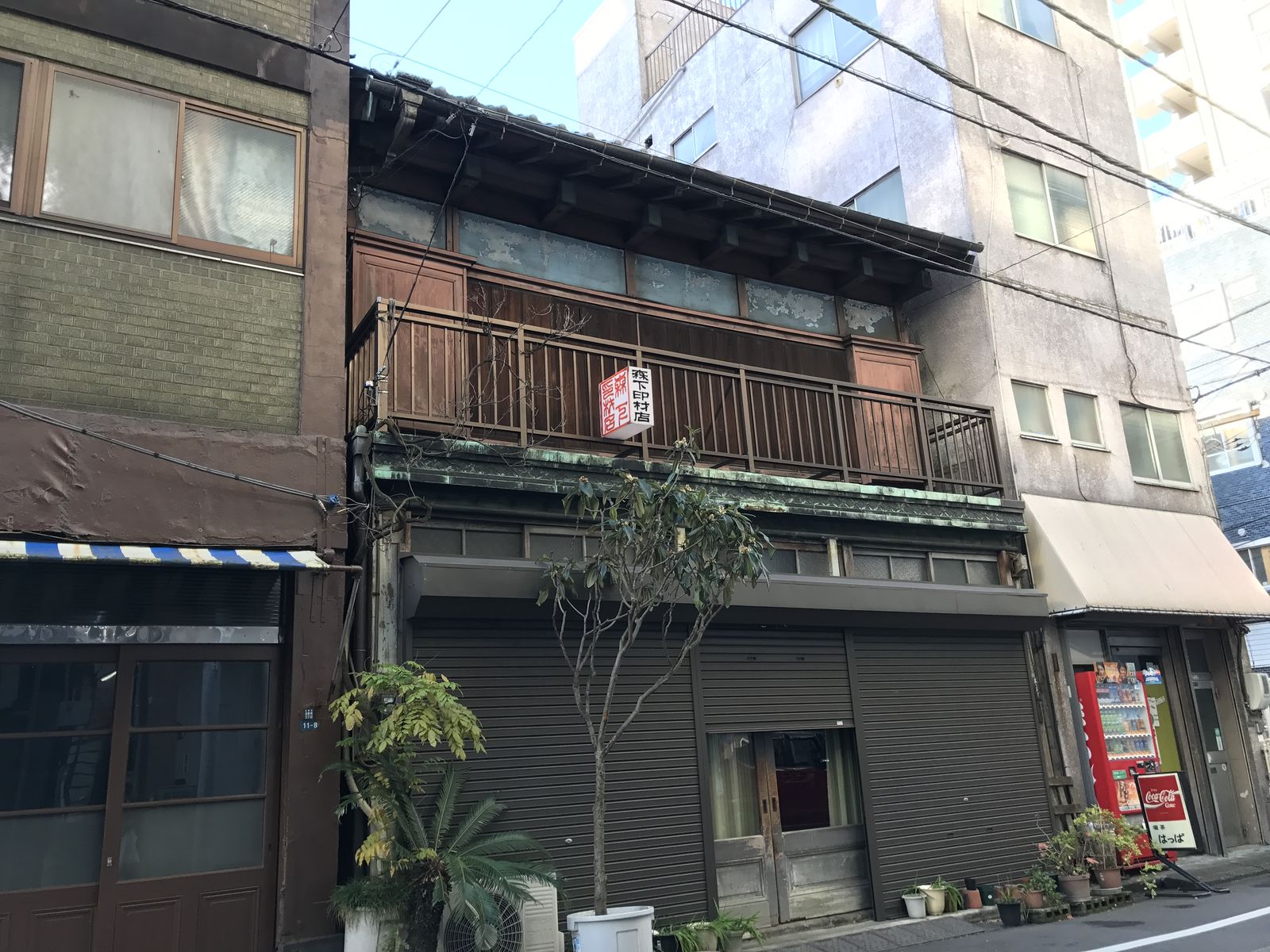 喫茶 はっぱ 浅草橋 三毛猫ランチ2 喫茶 はっぱ 浅草橋 三毛猫ランチ2