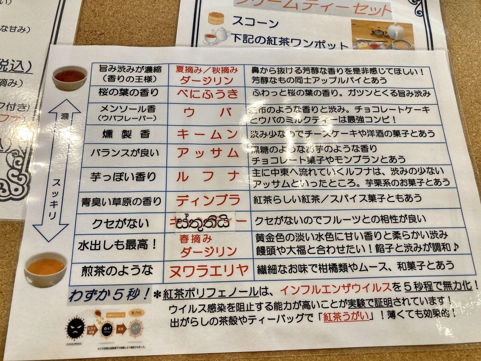 セレンディップ 越谷市 三毛猫ランチ２