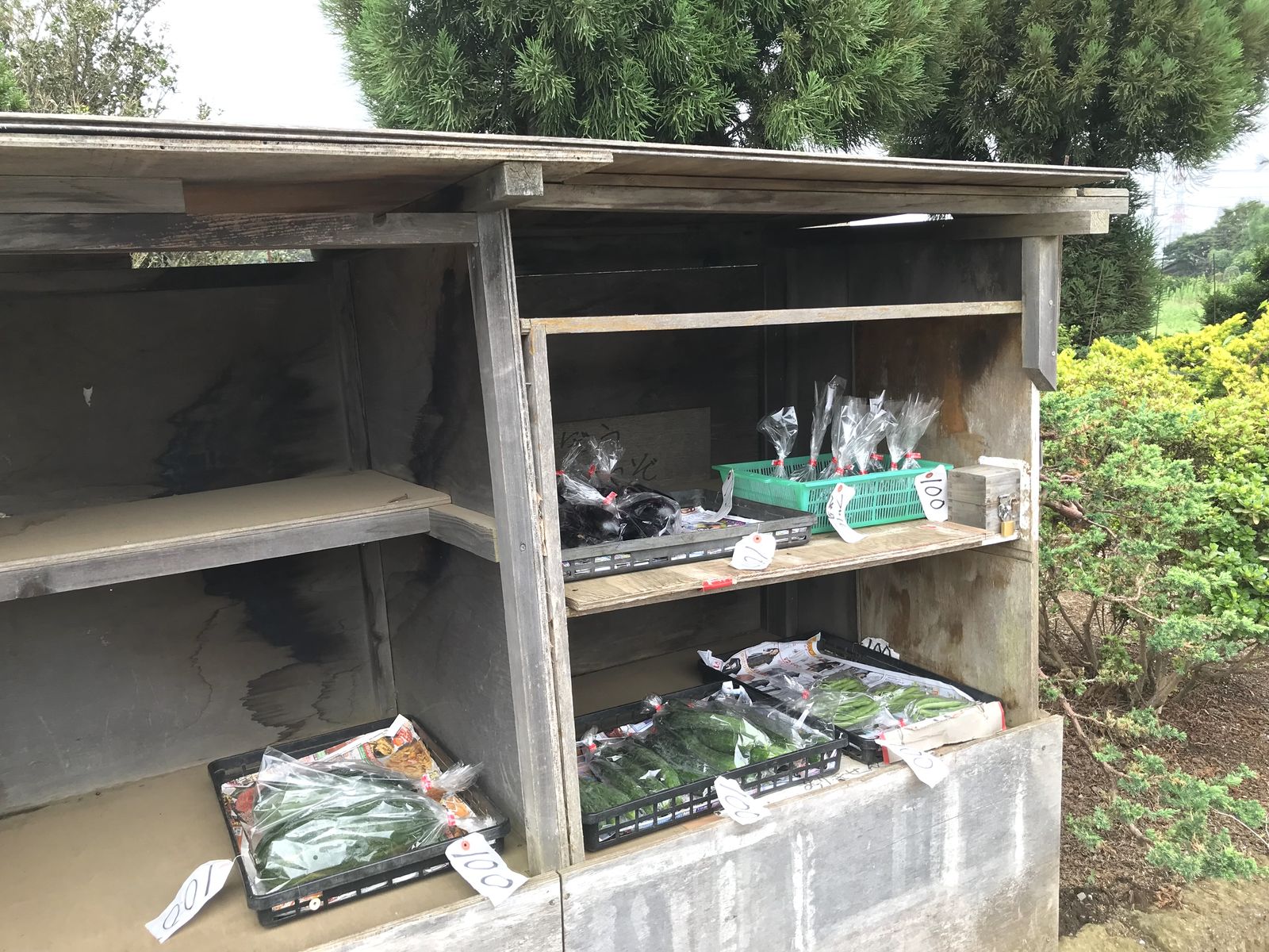 無人販売所 さいたま市岩槻区 三毛猫ランチ２