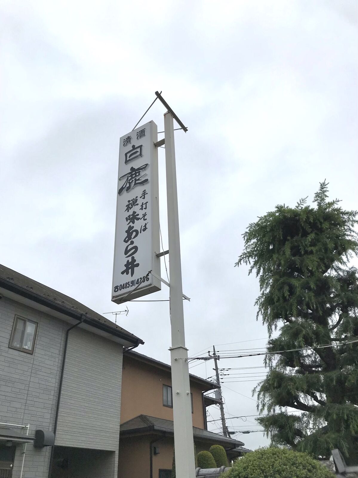 手打ちそば 禅味 あら井 北本市 三毛猫ランチ２