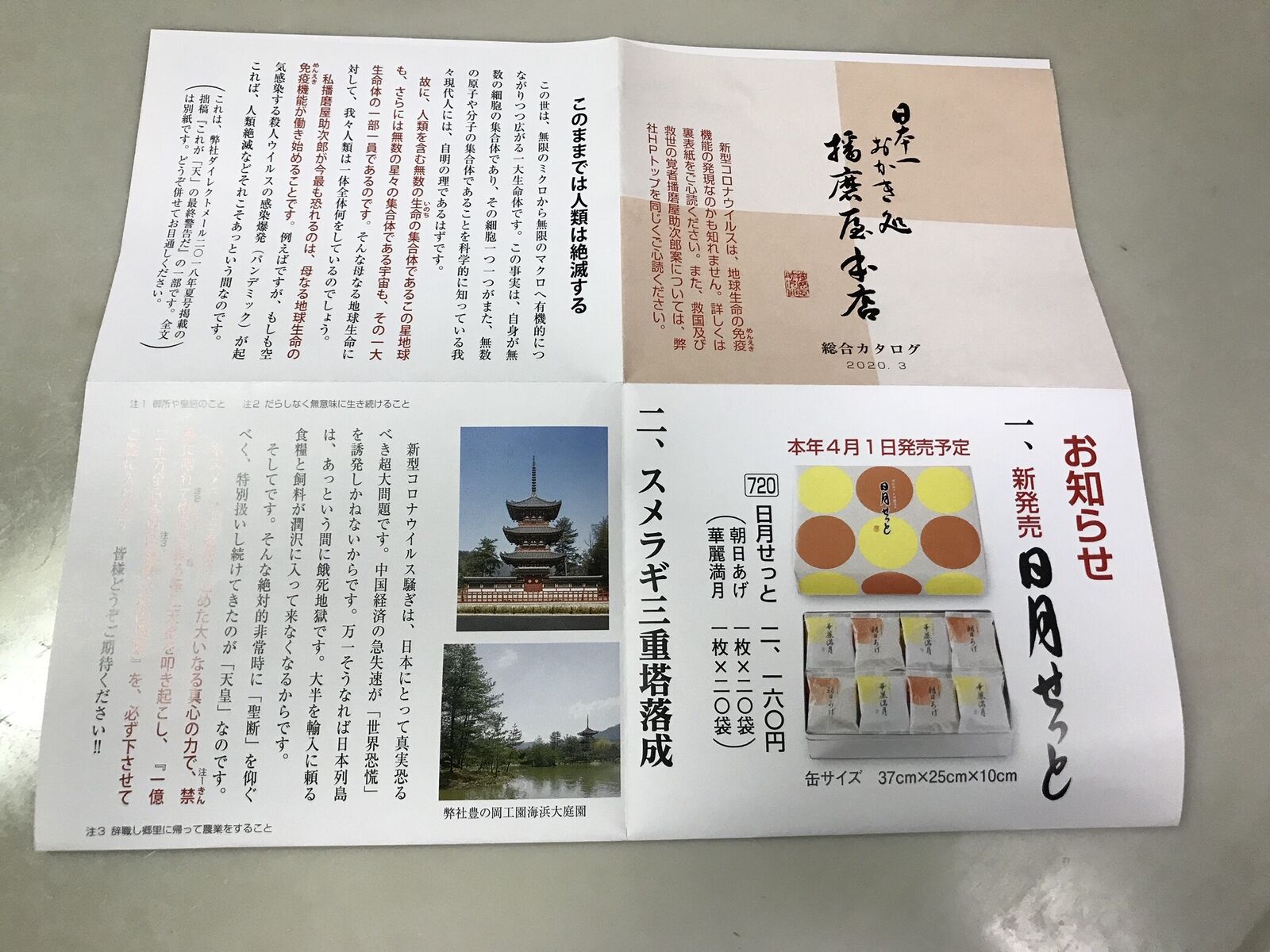 播磨屋本店 東京店 霞ヶ関 三毛猫ランチ２