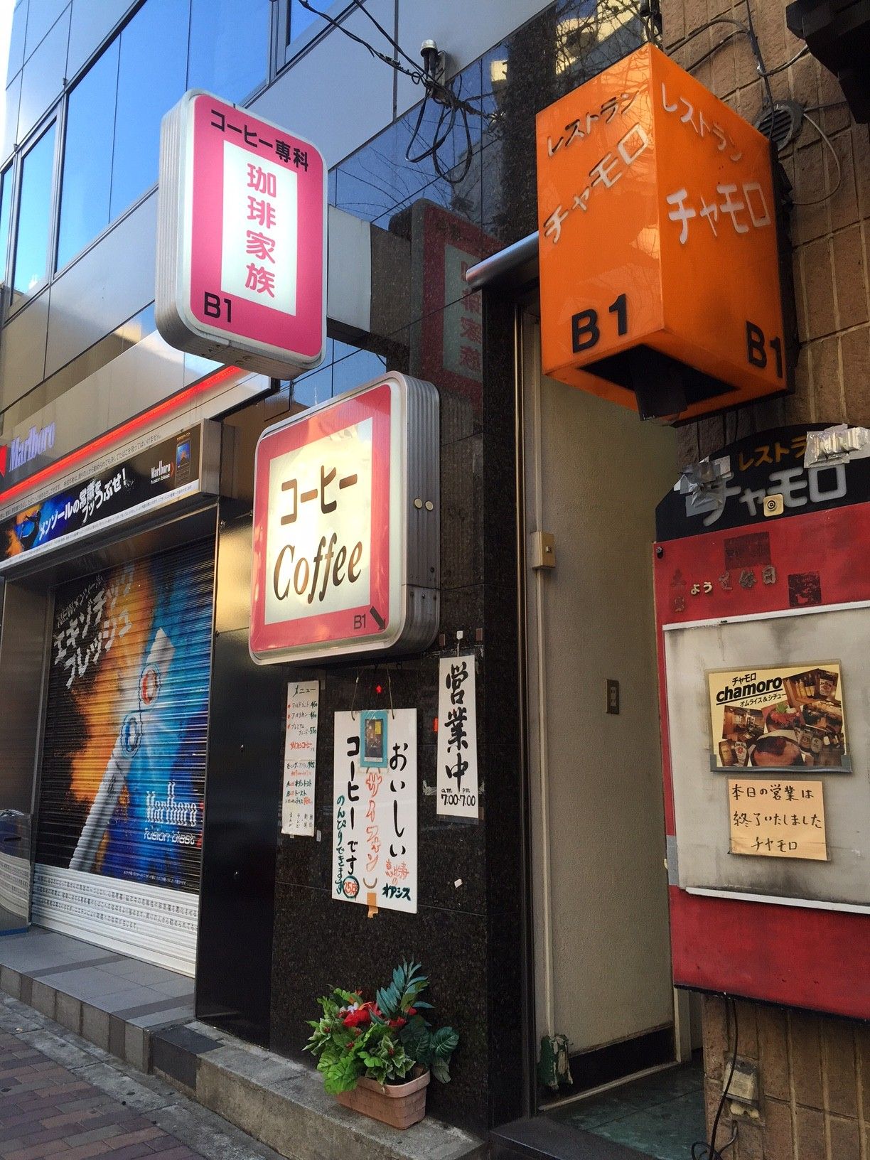 珈琲家族 恵比寿 三毛猫ランチ２