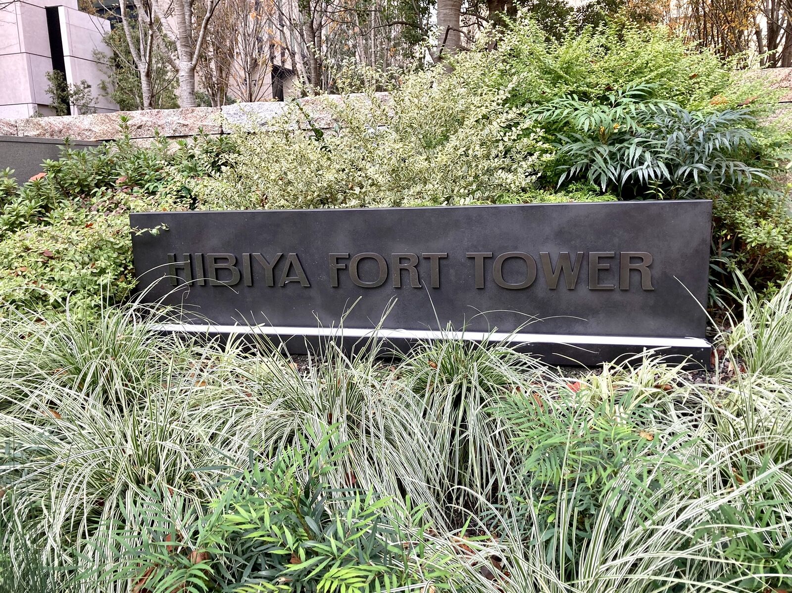 田村町 木村屋 西新橋 三毛猫ランチ２