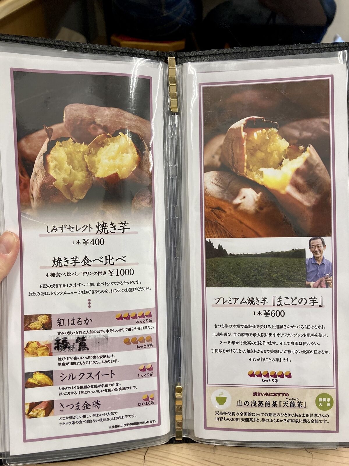 はるか600本シルク400本 marz.jp