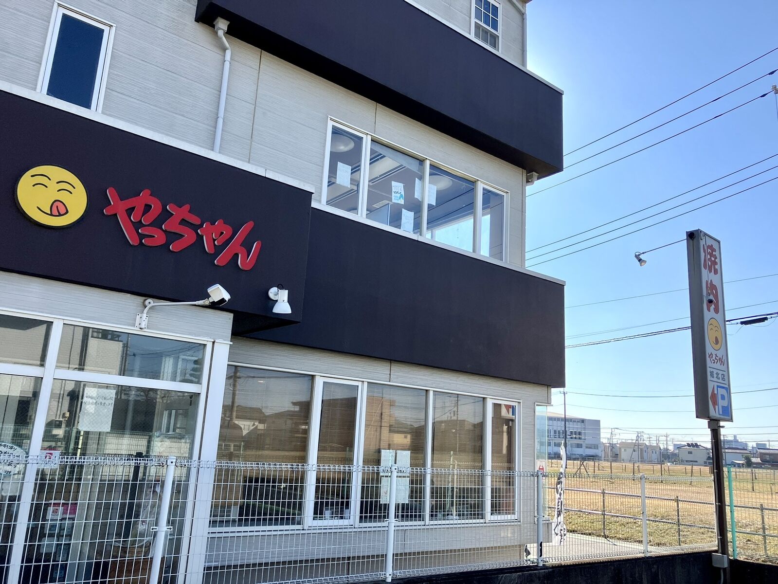 やっちゃん（さいたま市岩槻区） : 三毛猫ランチ2