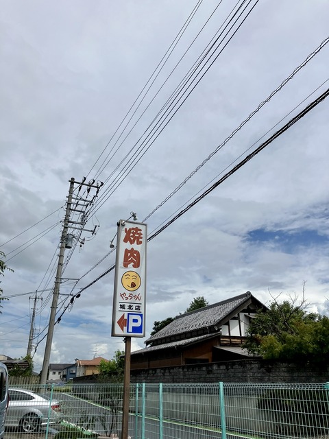 やっちゃん（さいたま市岩槻区） : 三毛猫ランチ2