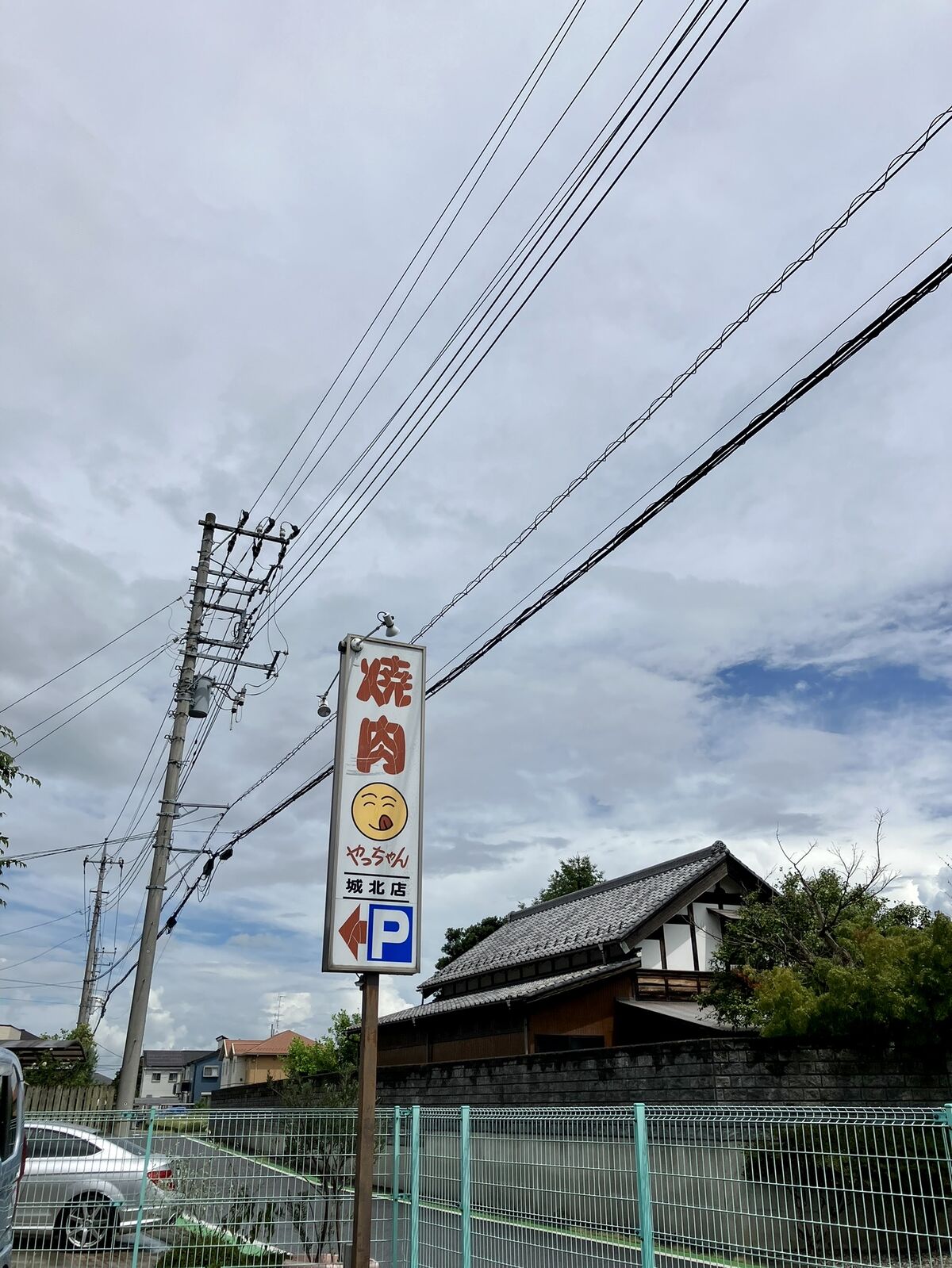 やっちゃん（さいたま市岩槻区） : 三毛猫ランチ2