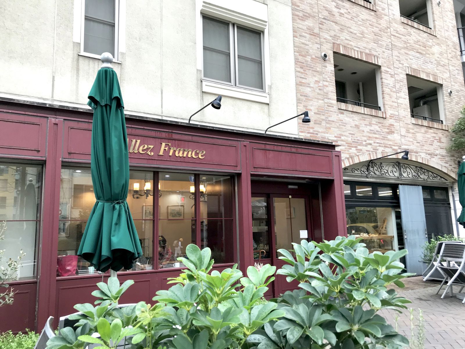 アレフランス カフェダリア 南麻布 三毛猫ランチ２