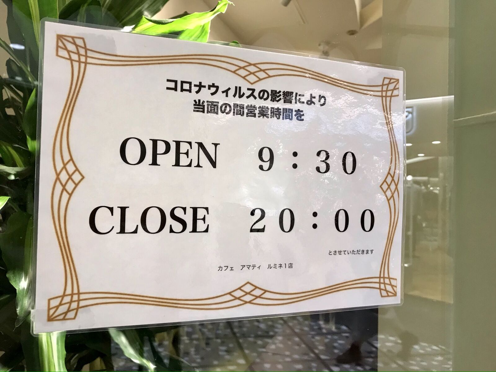 カフェ アマティ 新宿ルミネ1 三毛猫ランチ２