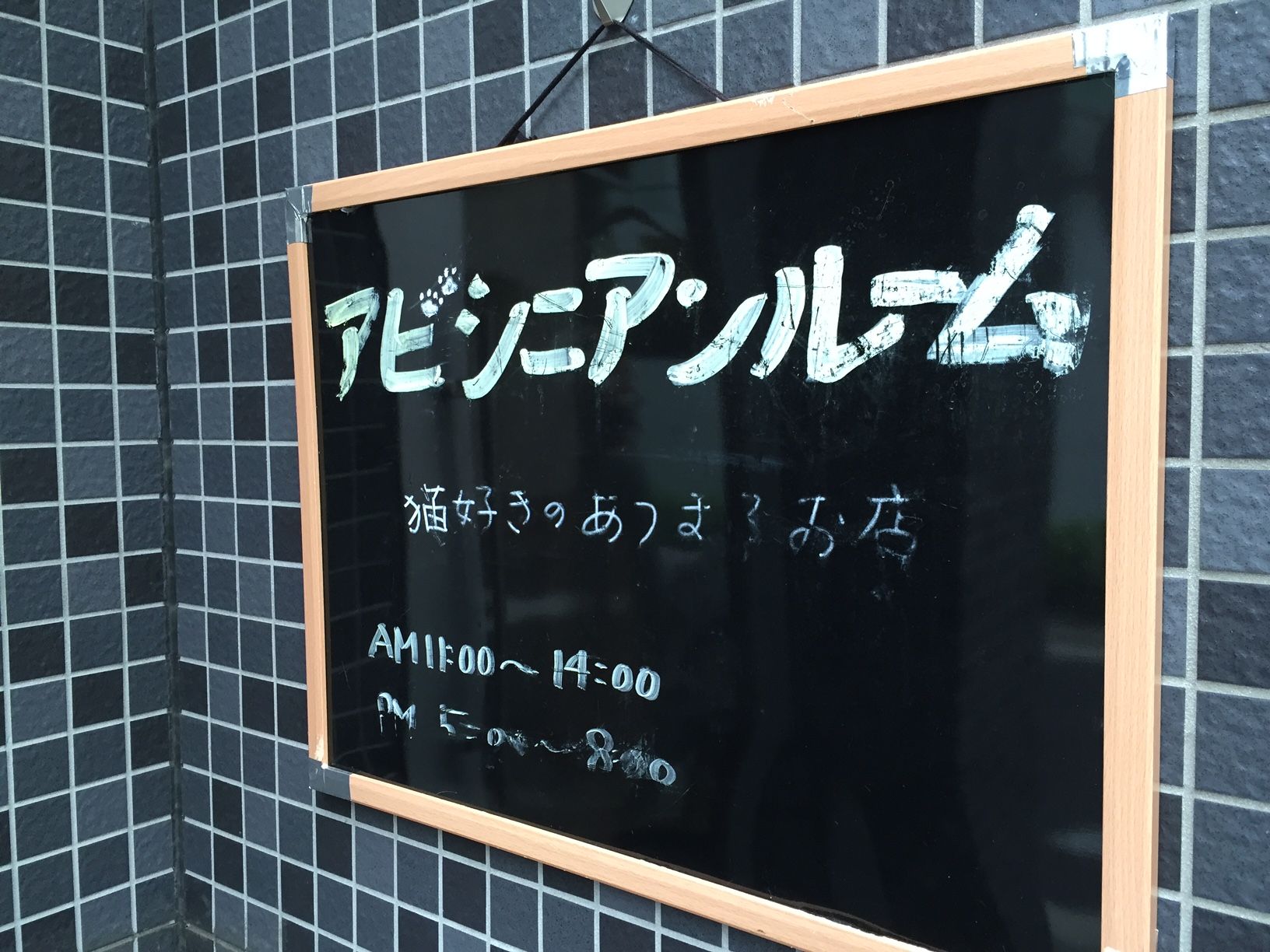 アビシニアン ルーム 八丁堀 三毛猫ランチ２