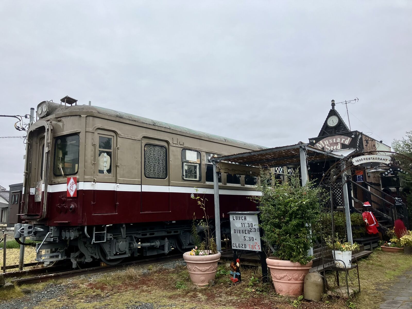 マスタード シード 電車 食堂