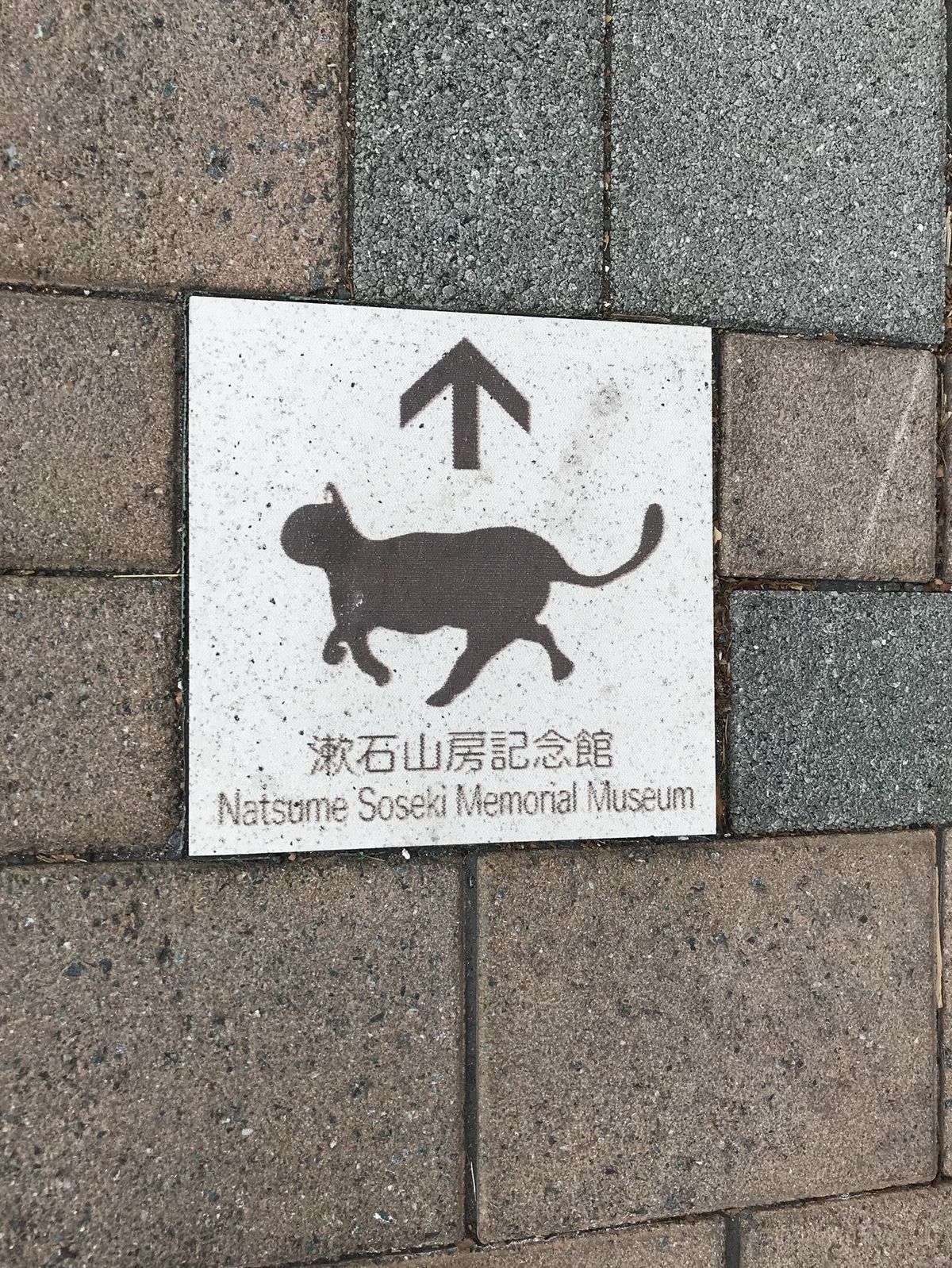 カフェ ソウセキ 早稲田南町 三毛猫ランチ2 カフェ ソウセキ 早稲田南町 三毛猫ランチ2