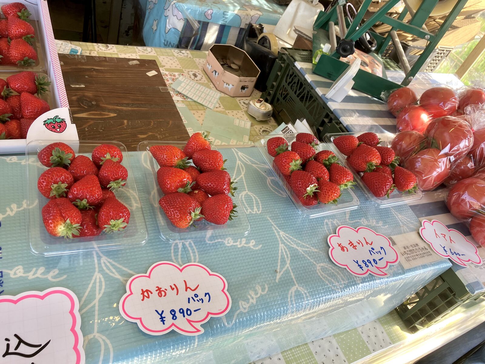 いちご農園ななちゃん（比企郡吉見町） : 三毛猫ランチ2