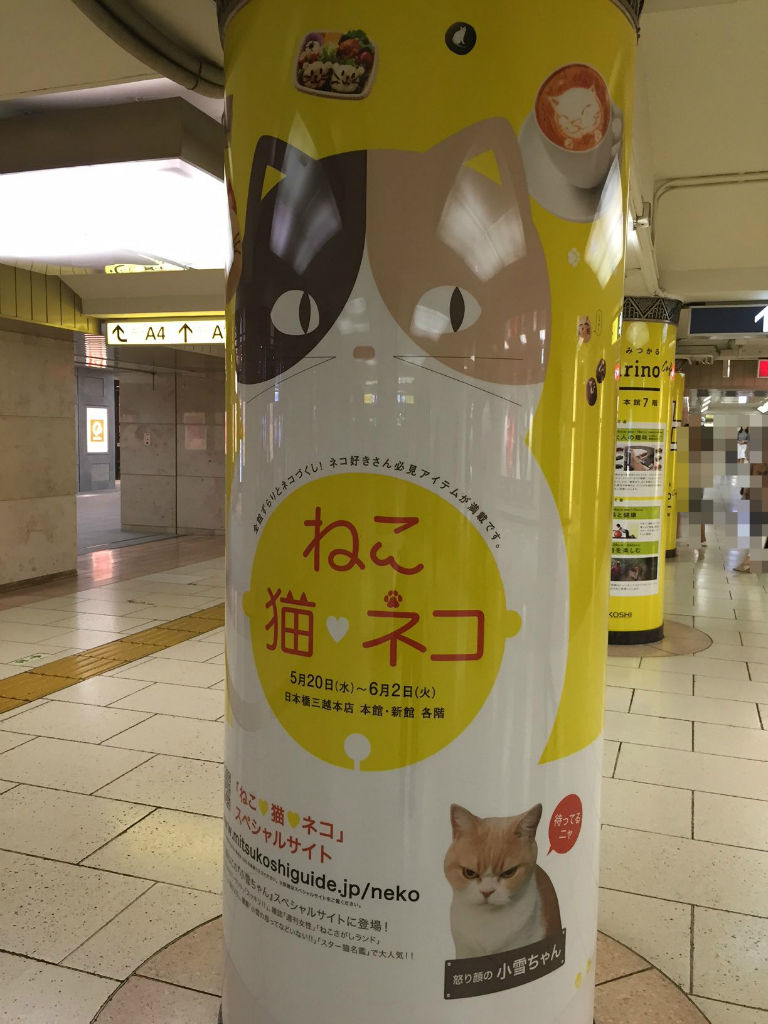 ねこ 猫 ネコ 日本橋三越 三毛猫ランチ２