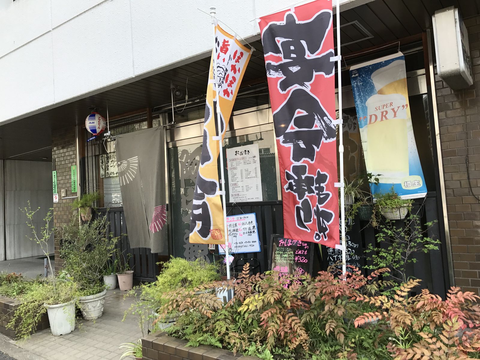 阿字観 後楽 三毛猫ランチ２