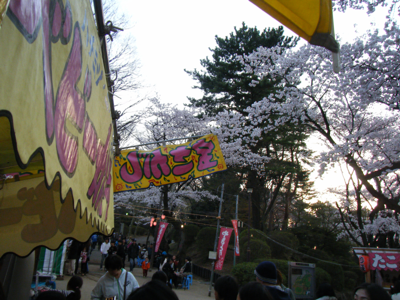 １０年 八王子富士森公園の桜 Livedoor Blog ケンイチ 脳出血との闘い