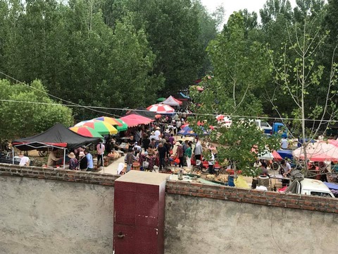 収繭2019日照4