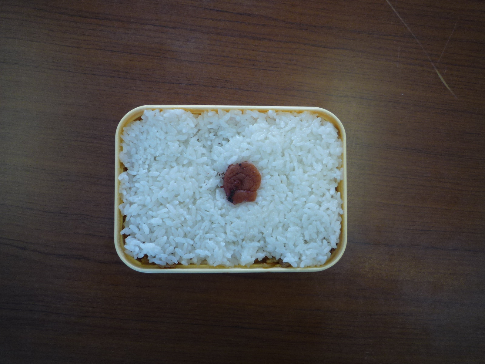 お弁当 新井jc総務委員長 今日の徒然