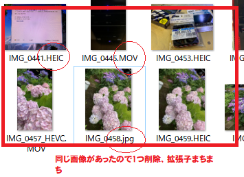 コメント 2019-06-29 110134