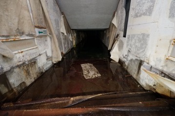 DSCF7962
