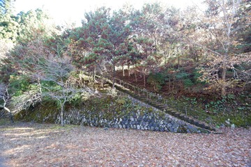 DSCF3628