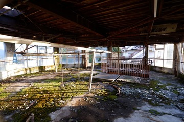 DSCF3484