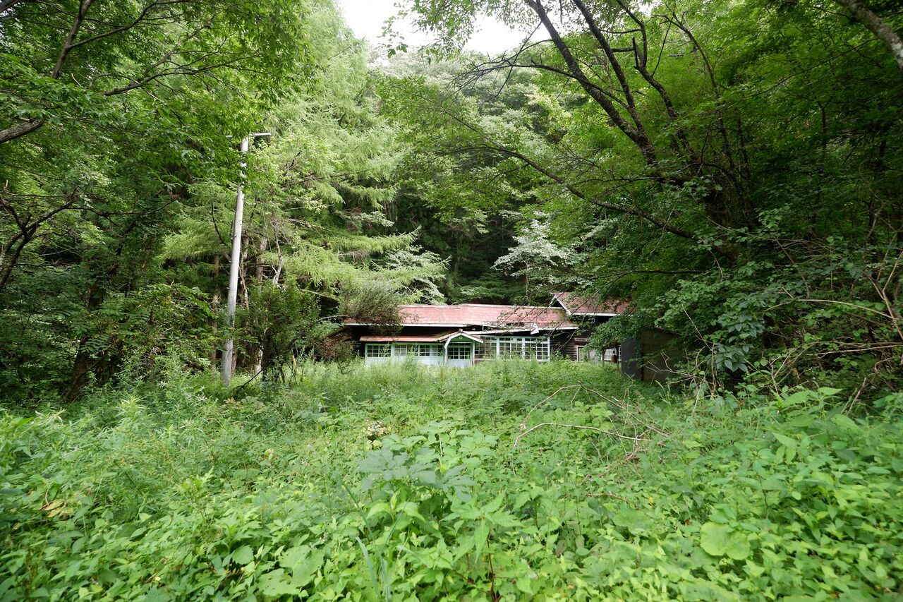 ジャングルキャンプ女子ヌード