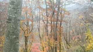 P_20181112_091950_vHDR_On
