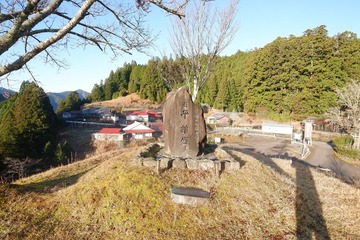 DSCF3508