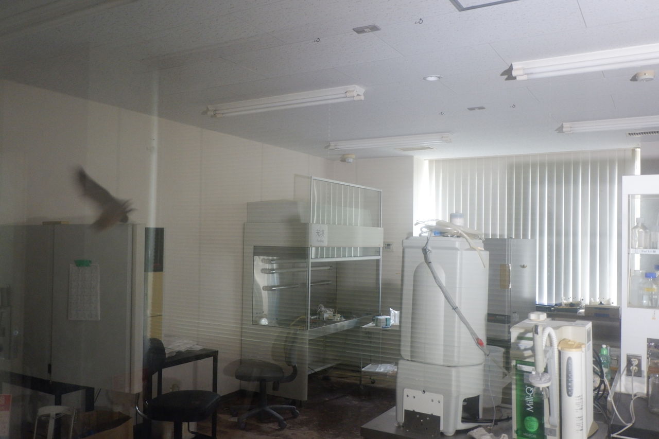 18 6 28 廃墟 バイオハザード研究所 オバサンヘアーでゴーゴー