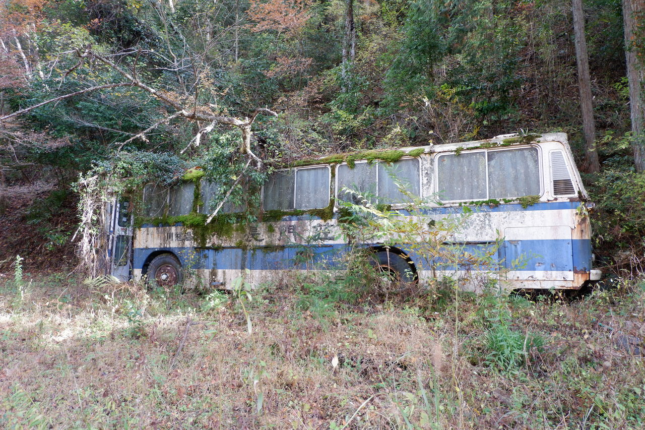 17 11 25 廃墟 愛知長門荘 オバサンヘアーでゴーゴー